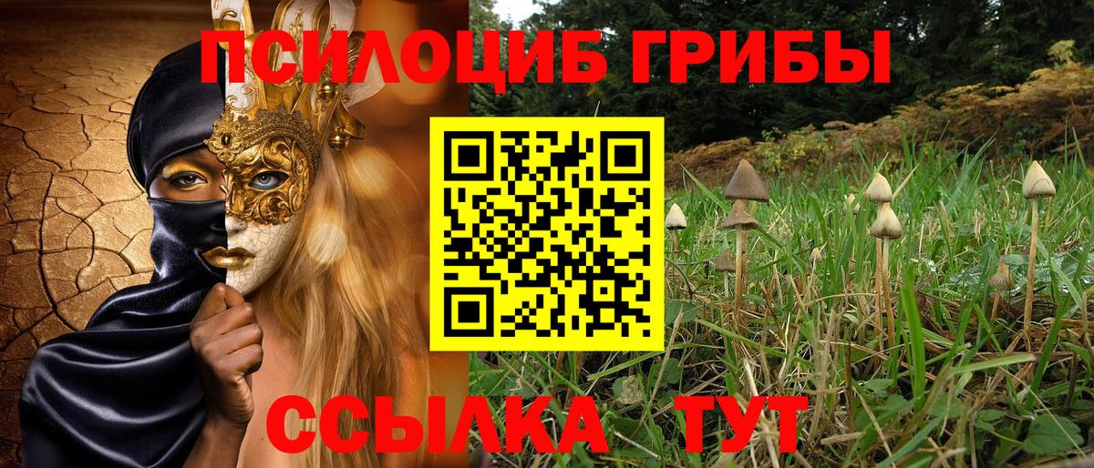 Галлюциногенные грибы мицелий  Псилоцибиновые грибы MAGIC MUSHROOMS  Вход с VPN  Россия 