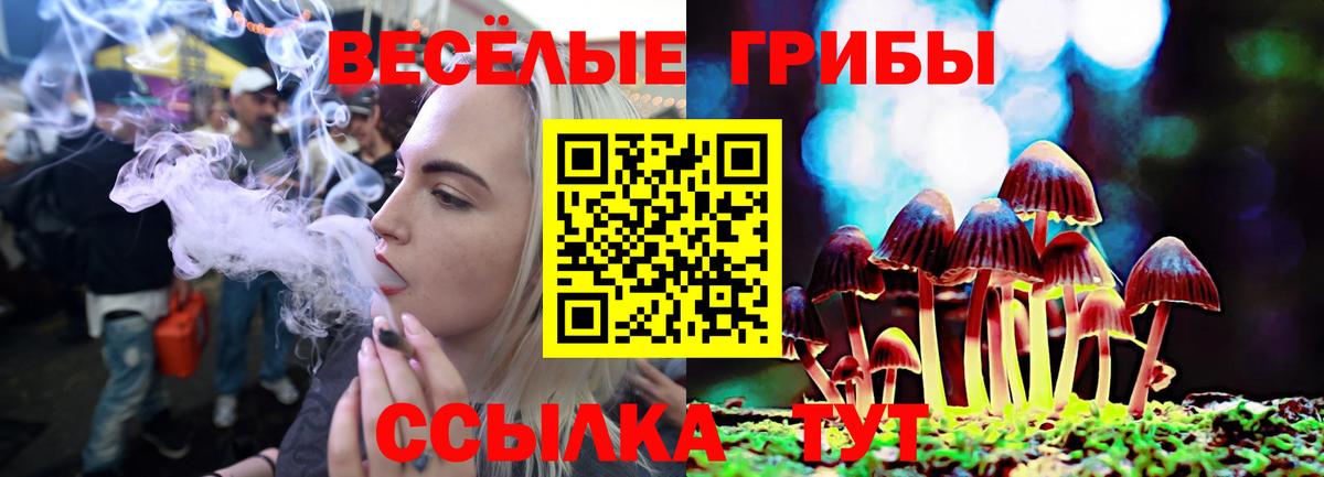 Псилоцибиновые грибы Cubensis Россия